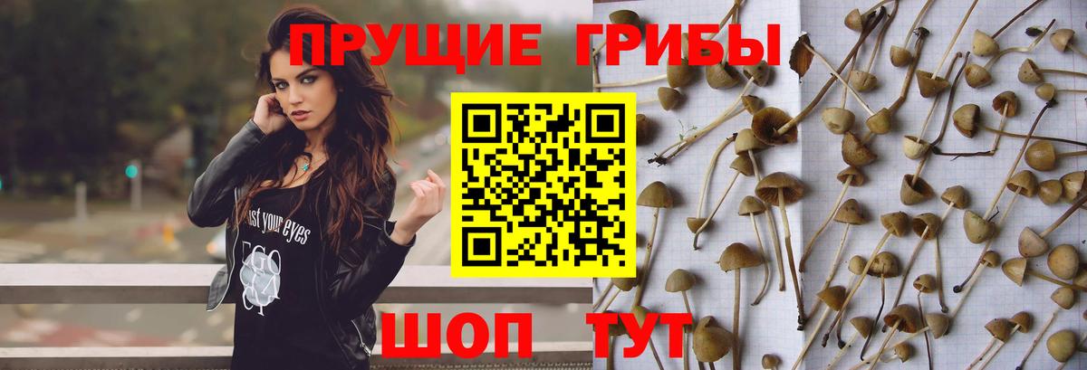Псилоцибиновые грибы GOLDEN TEACHER  Вход с VPN  Валуйки 